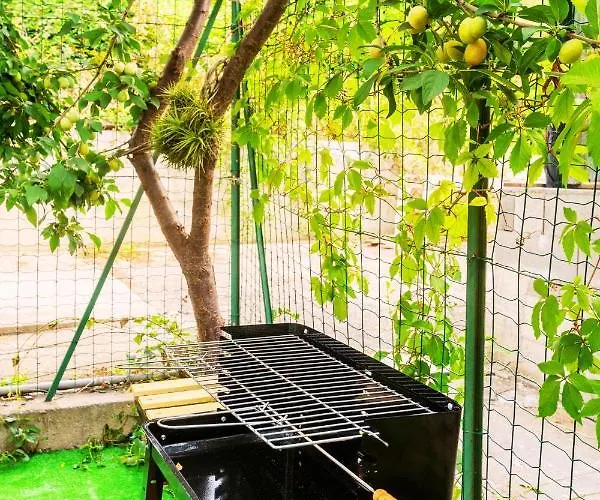 Apartment Mare - Ciclabile Giardino E Parcheggio Gratuito *